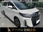ローン可能 モデリスタ レザー フリップダウンモニタ パワーバックドア