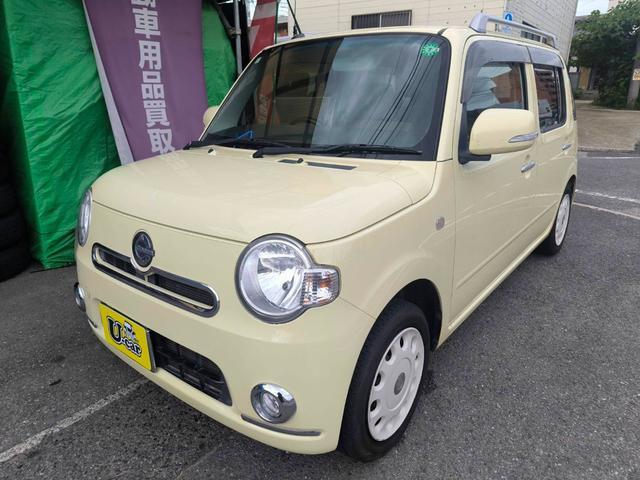 丸いフォルムが可愛いイエローココア!